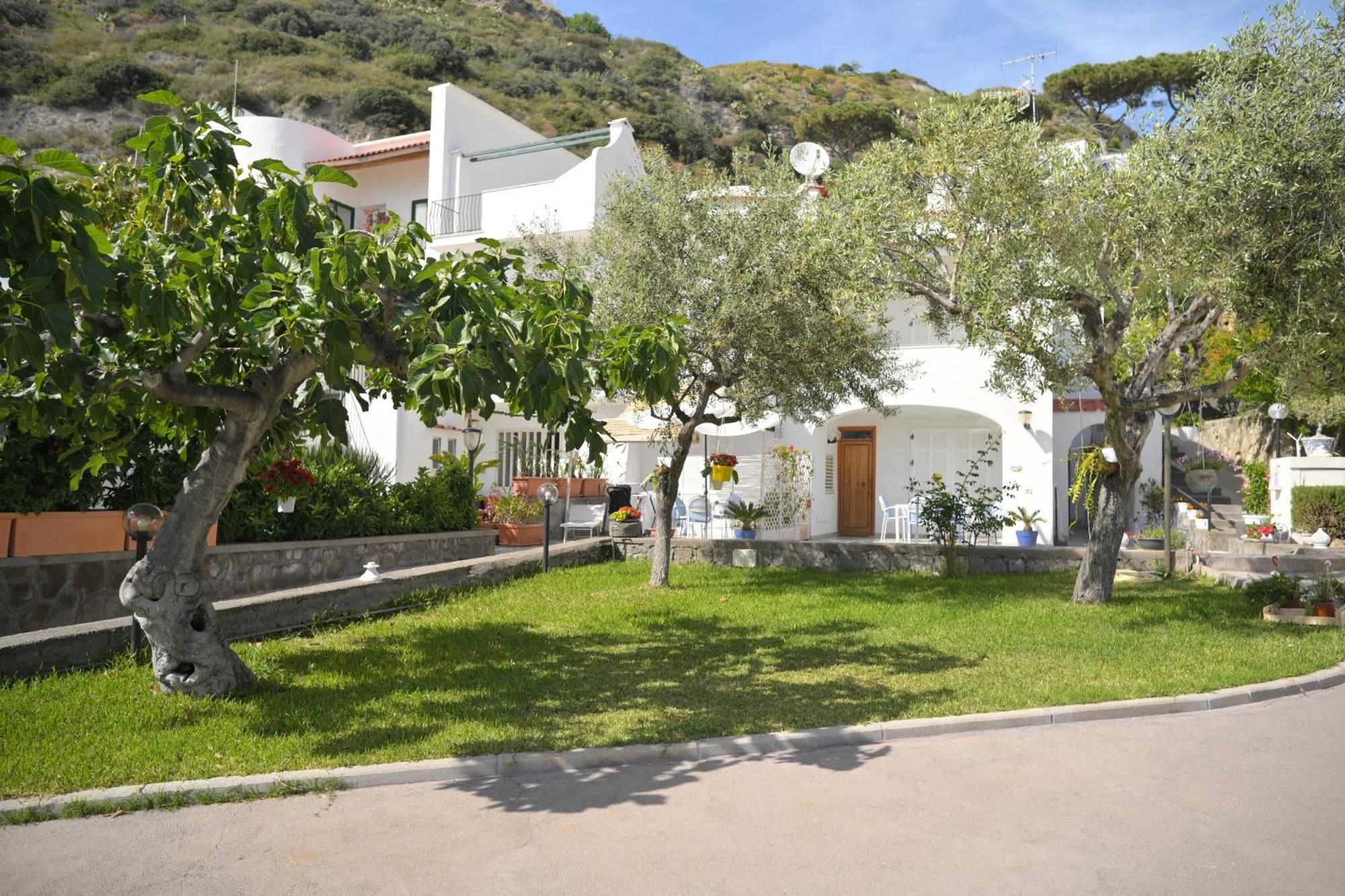 Apartament Blu Maronti Barano dʼIschia Zewnętrze zdjęcie